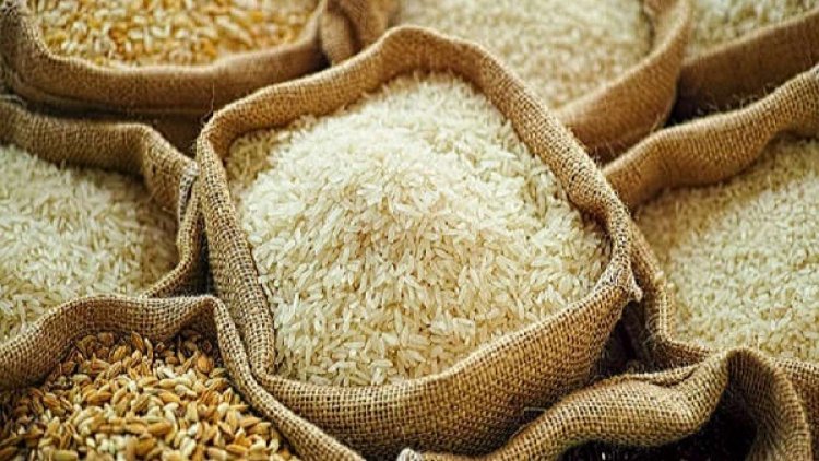 Rice & Grains